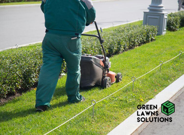 The Role of Lawn Mowing in Weed Control