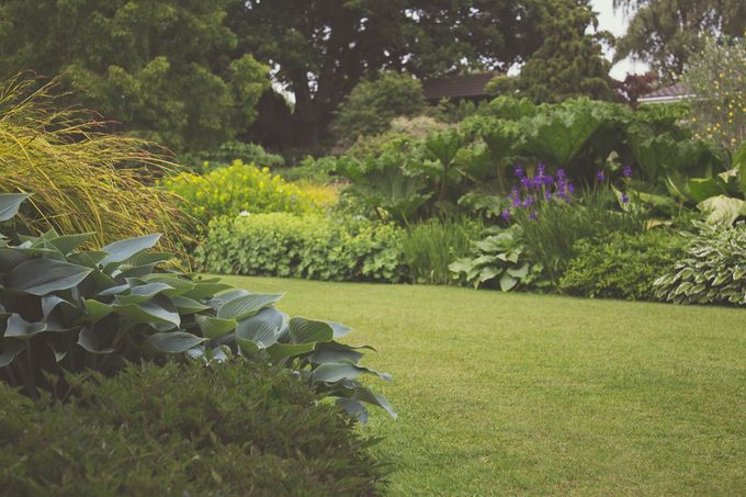 Expert Lawn Care Lubbock Advocates for Property Care: Combatting Weed Growth and Preserving Curb Appeal